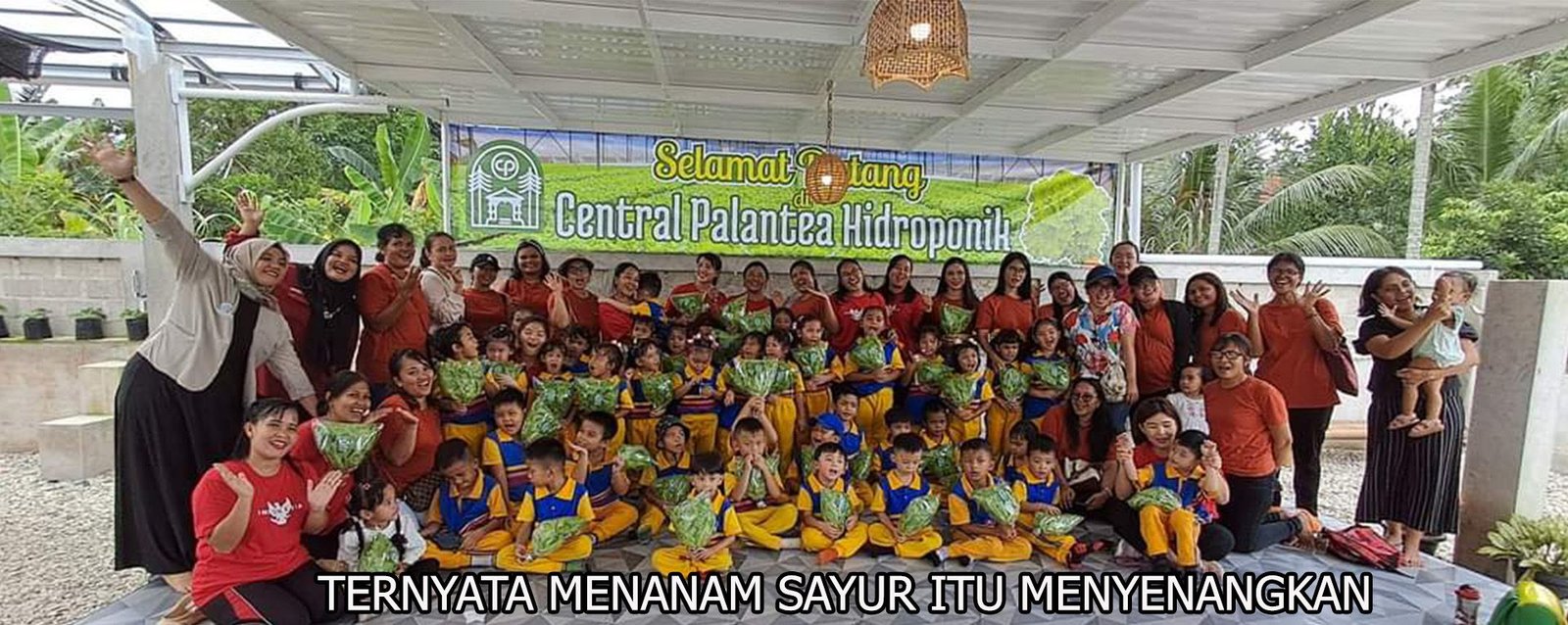 TERNYATA MENANAM SAYUR ITU MENYENANGKAN